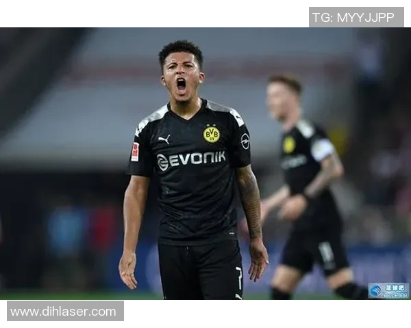 加兰德足球巨星成长历程与赛场辉煌瞬间全面解读